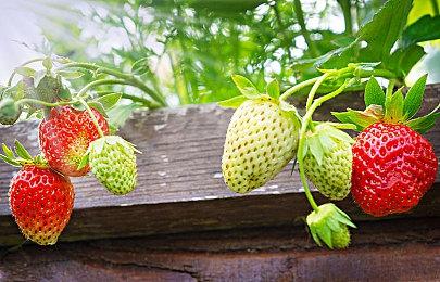 《第一后裔》角色改动引大量不满 近期评价成多半差评